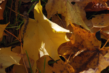 Similar image 21660104