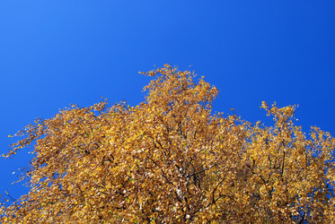 Similar image 21660106