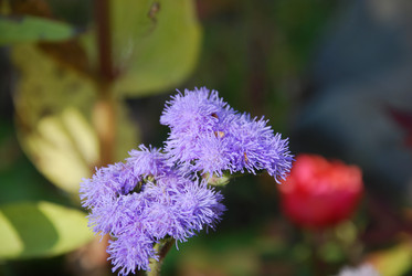 Similar image 21660107