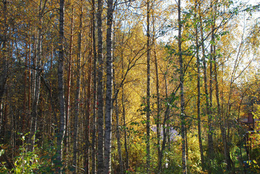 Similar image 21660108