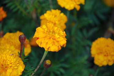 Similar image 21660109