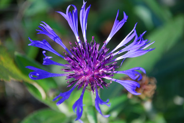 Similar image 21660110