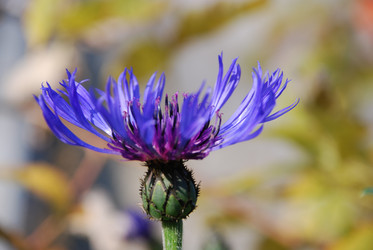 Similar image 21660111