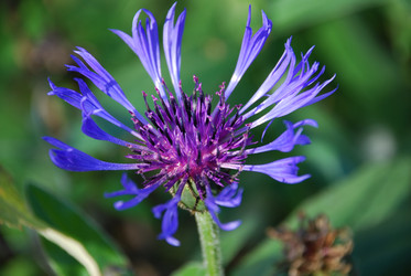 Similar image 21660113