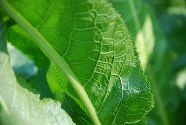 Similar image 21660114