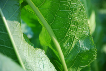 Similar image 21660115