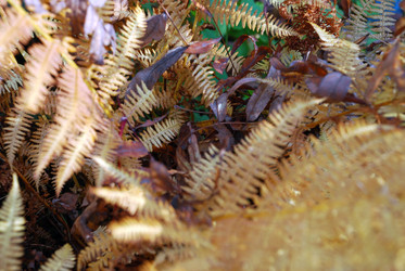 Similar image 21660117