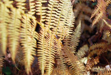 Similar image 21660118