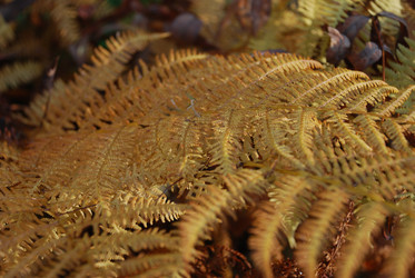 Similar image 21660119