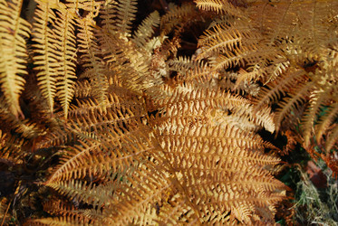 Similar image 21660120