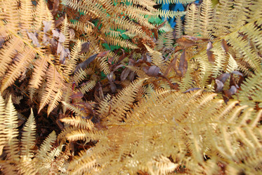 Similar image 21660121