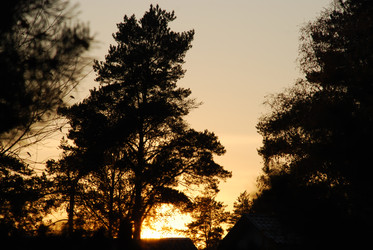 Similar image 21660122