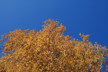 Similar image 21660123