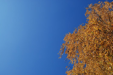 Similar image 21660124