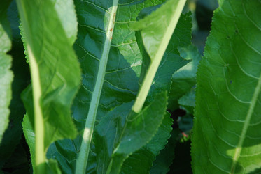 Similar image 21660125