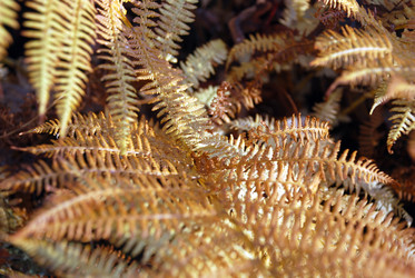 Similar image 21660126