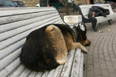 Similar image 21662149