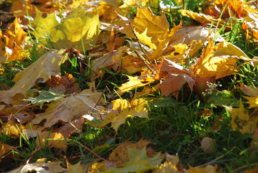 Similar image 21660128