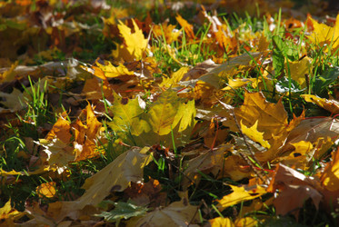 Similar image 21660129