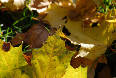 Similar image 21660130