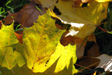 Similar image 21660131