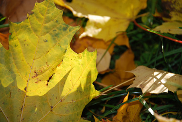 Similar image 21660132