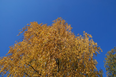 Similar image 21660133