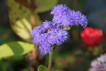 Similar image 21660134