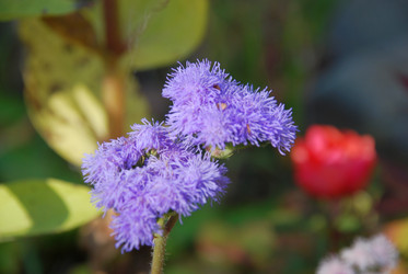 Similar image 21660135