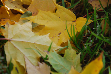 Similar image 21660136