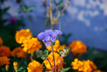 Similar image 21660138