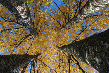 Similar image 21660140