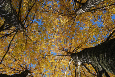 Similar image 21660142