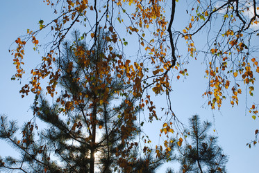 Similar image 21660143