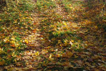 Similar image 21660144