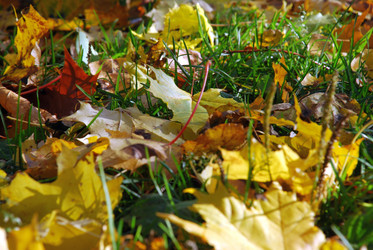 Similar image 21660145