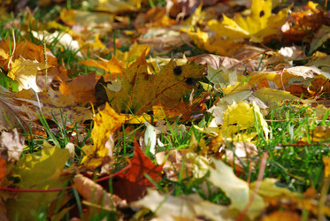 Similar image 21660146