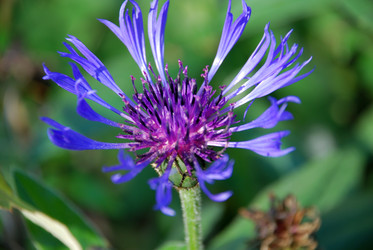 Similar image 21660148