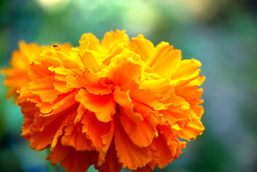 Similar image 21660149