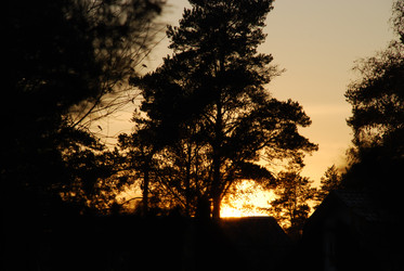 Similar image 21660241