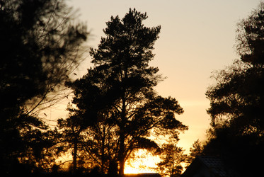 Similar image 21660242