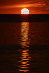 Similar image 21662489