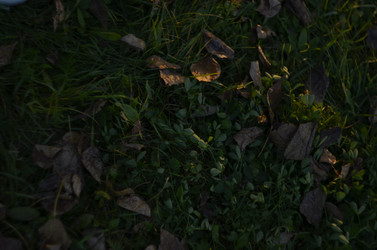 Similar image 21660518