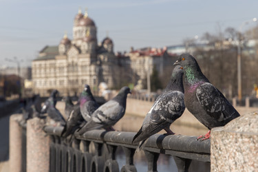 Similar image 21662784