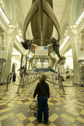 Similar image 21661777