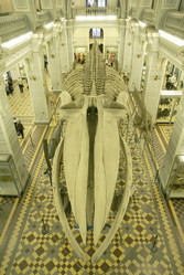 Similar image 21661778