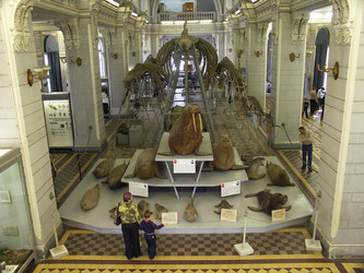 Similar image 21662240