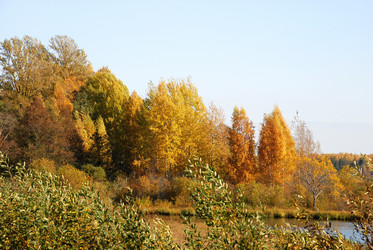 Similar image 21660246