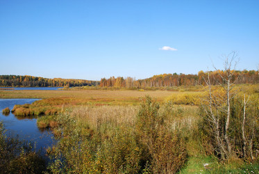 Similar image 21660247