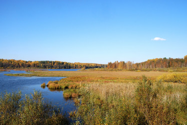 Similar image 21660248